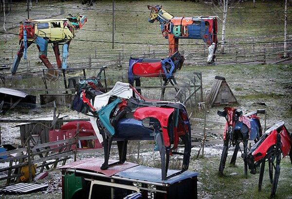 Миина Яккиюрккя создает гигантских металлических коров из отживших свое автомобильных кузовов