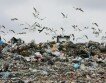 Экологи: На каждого украинца приходится 750 тонн мусора
